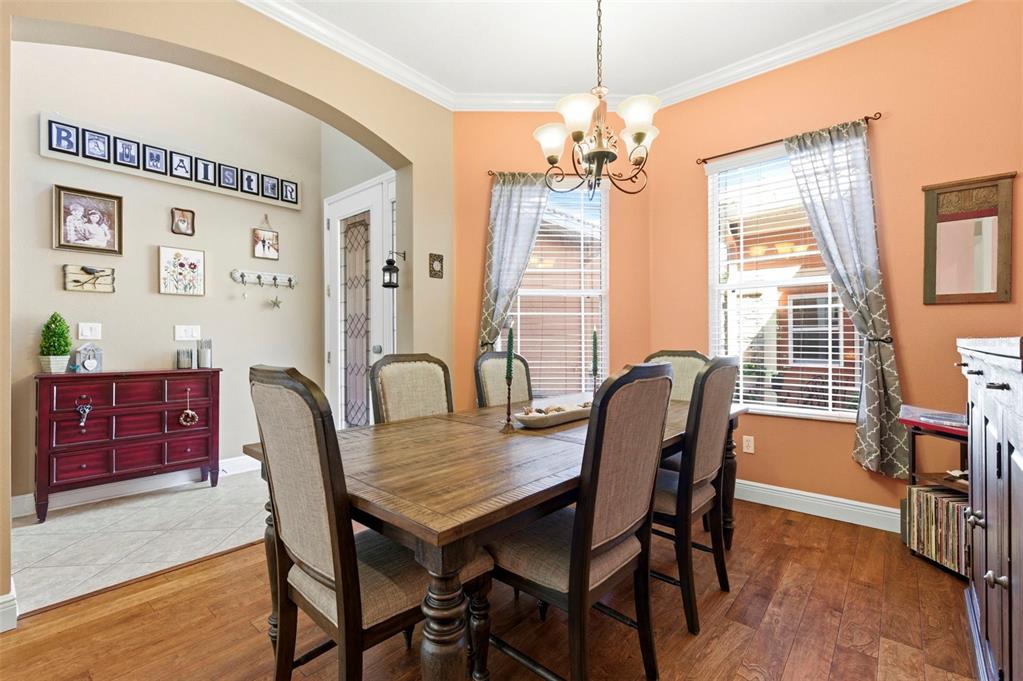 8743 New Alexandria Loop New Port Richey, FL 34654 - Photo 8 of 100