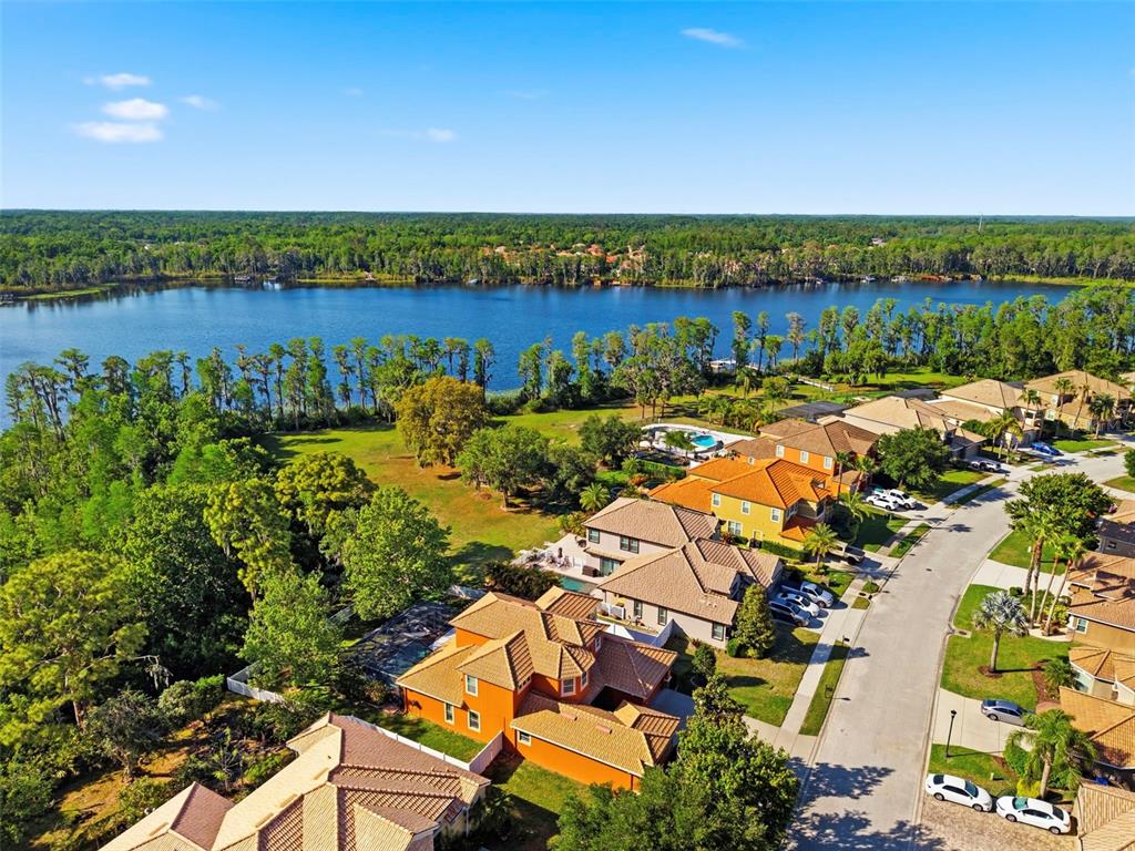 8743 New Alexandria Loop New Port Richey, FL 34654 - Photo 82 of 100