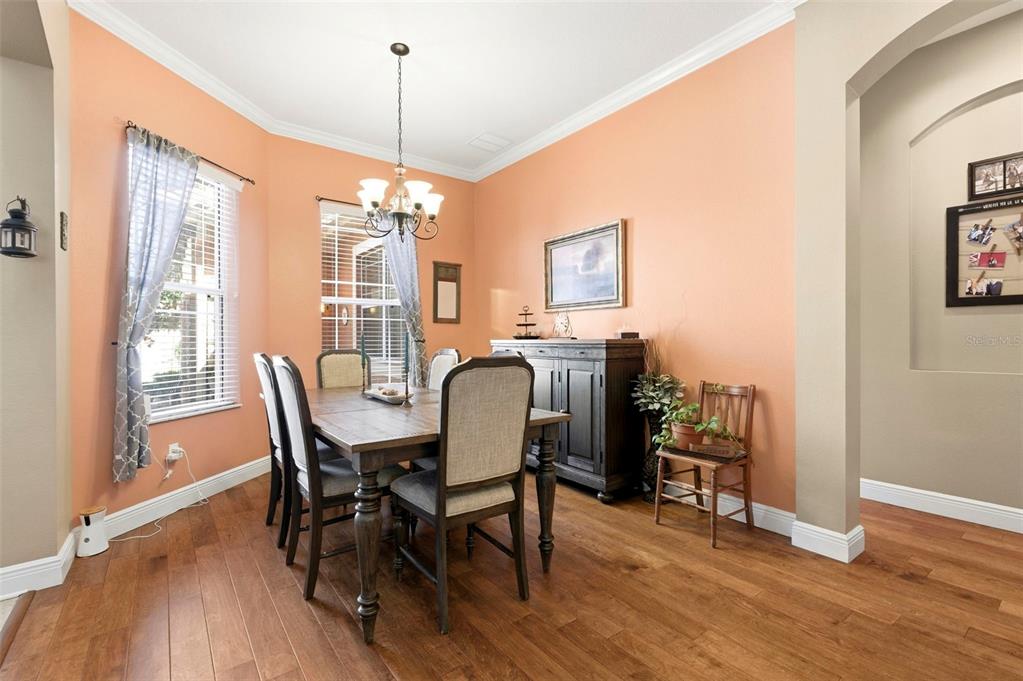 8743 New Alexandria Loop New Port Richey, FL 34654 - Photo 9 of 100