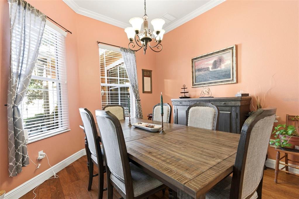 8743 New Alexandria Loop New Port Richey, FL 34654 - Photo 10 of 100