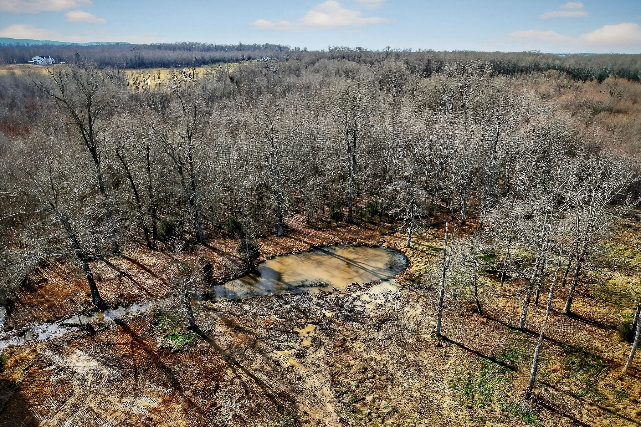 884 Swamp Road McMinnville, TN 37110 - Photo 26 of 41