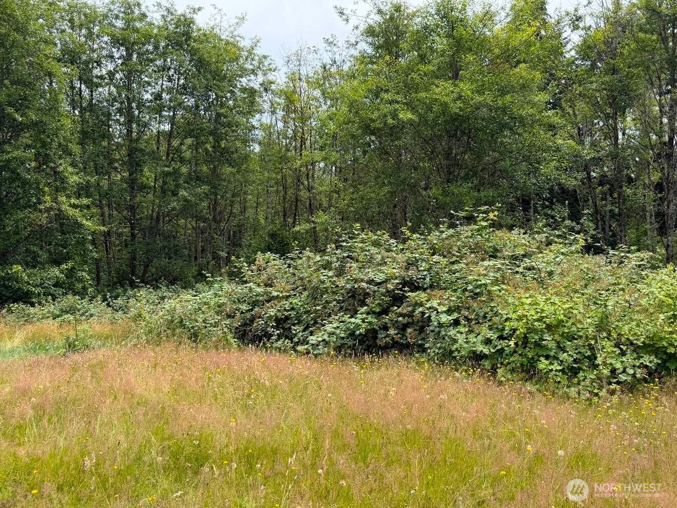244 North Dubois Road Ariel, WA 98603 - Photo 23 of 34
