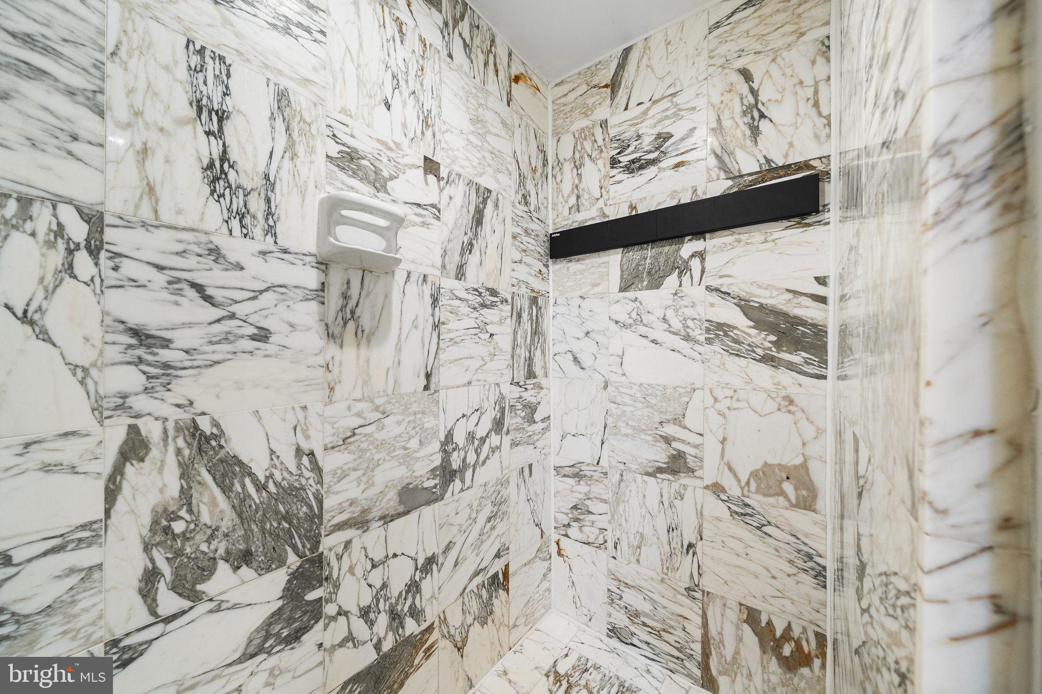 1101 South Arlington Ridge Road, Unit 212 Arlington, VA 22202 - Photo 41 of 93 Primary suite shower with luxury fixtures