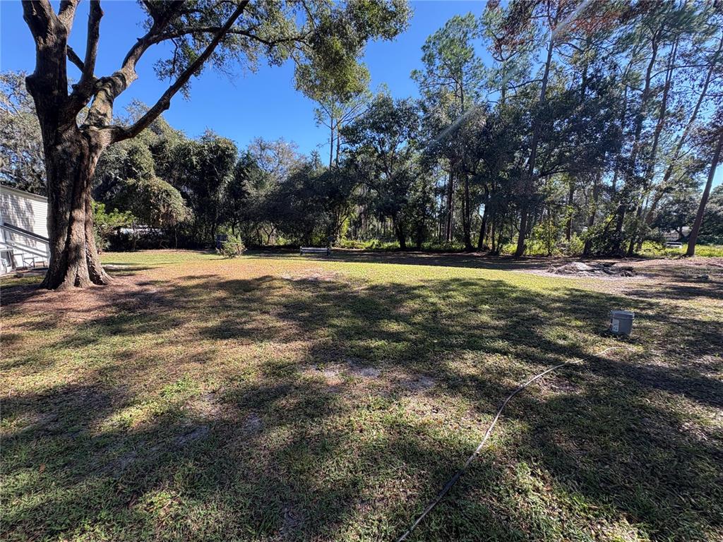 8939 Beverly Hills Road Lakeland, FL 33809 - Photo 3 of 23 a view of empty space with trees