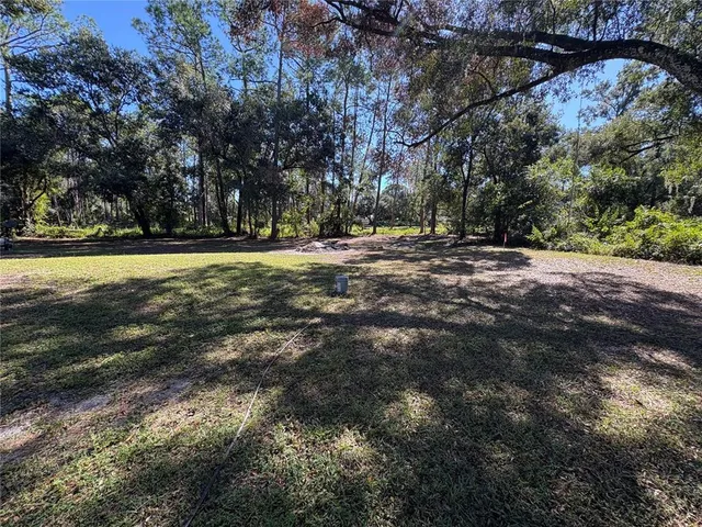 a view of a field with trees