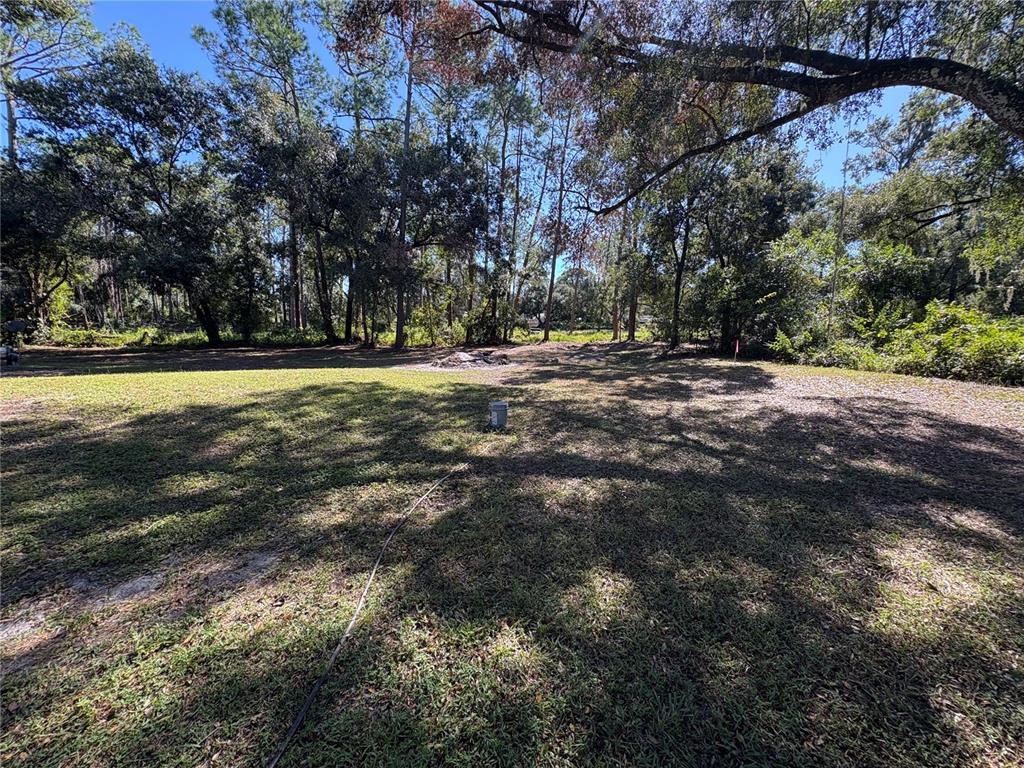 8939 Beverly Hills Road Lakeland, FL 33809 - Photo 4 of 23 a view of a field with trees