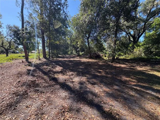 a view of a yard with a tree