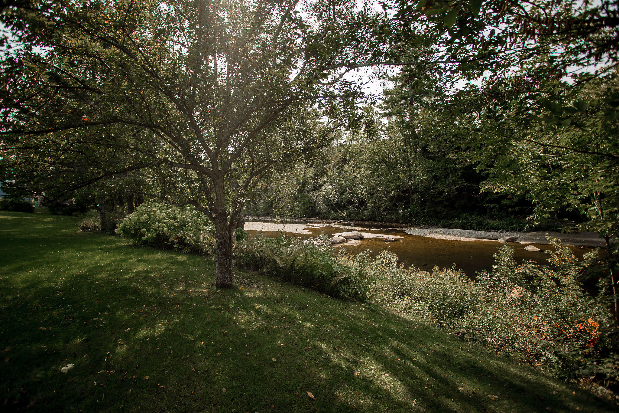 1922 Roxbury Road Roxbury, ME 04275 - Photo 8 of 43 AF6A4859