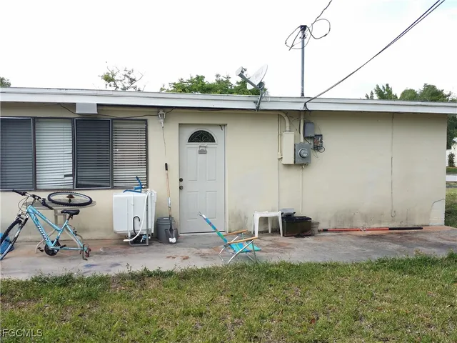a view of a backyard with plants and a large tree