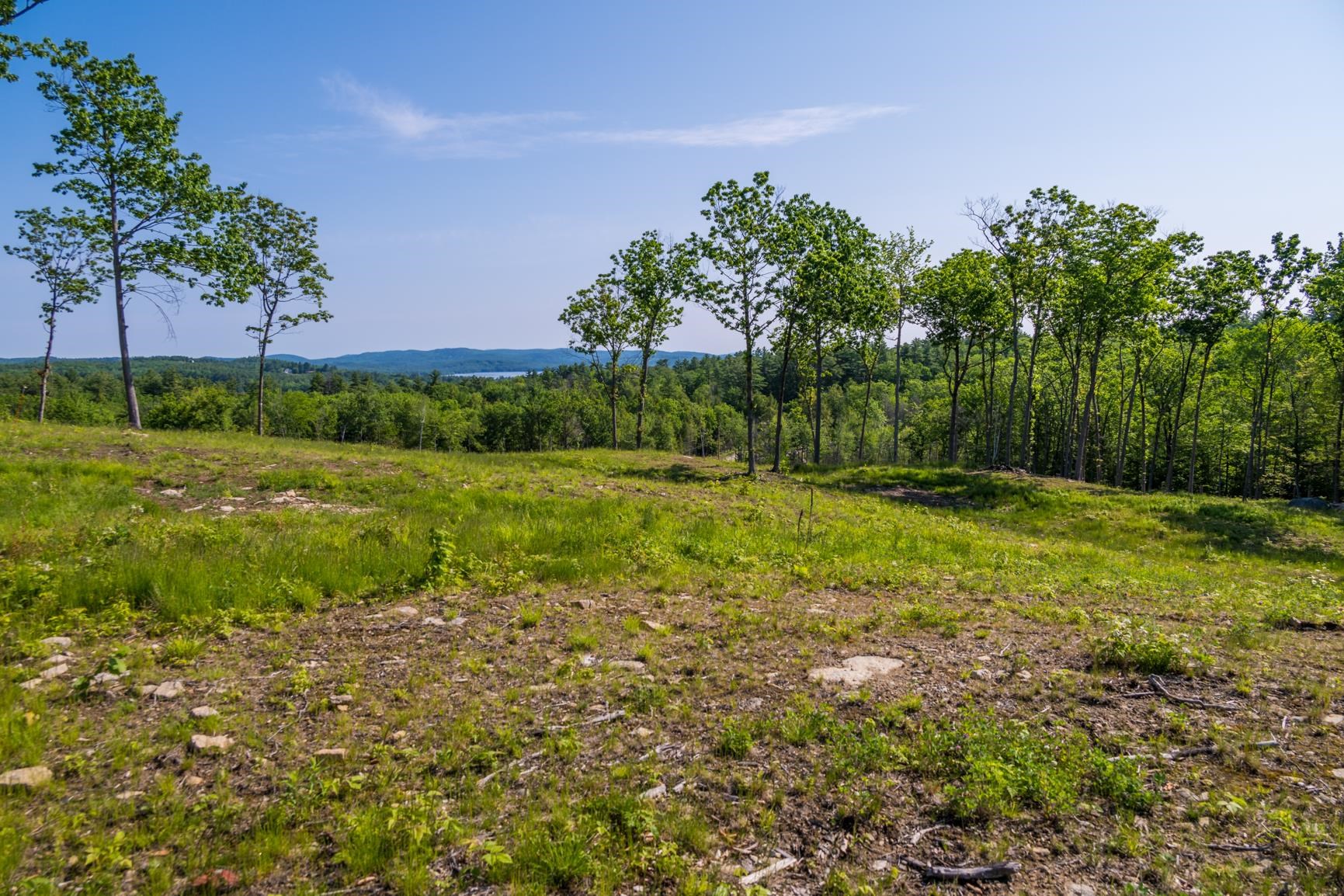Lot 21 Blueberry Ridge Road Sunapee, NH 03782 - Photo 1 of 1