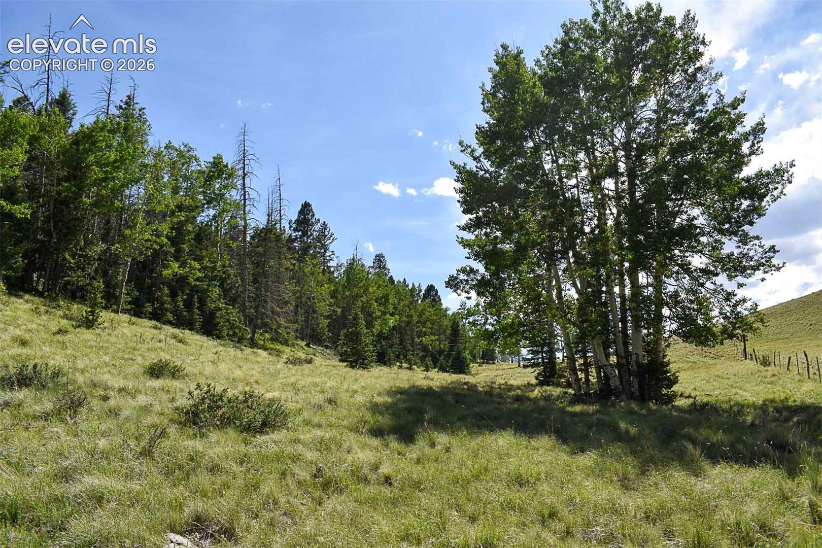0 Bear Cat Road Guffey, CO 80820 - Photo 18 of 40 Gallery Image 18