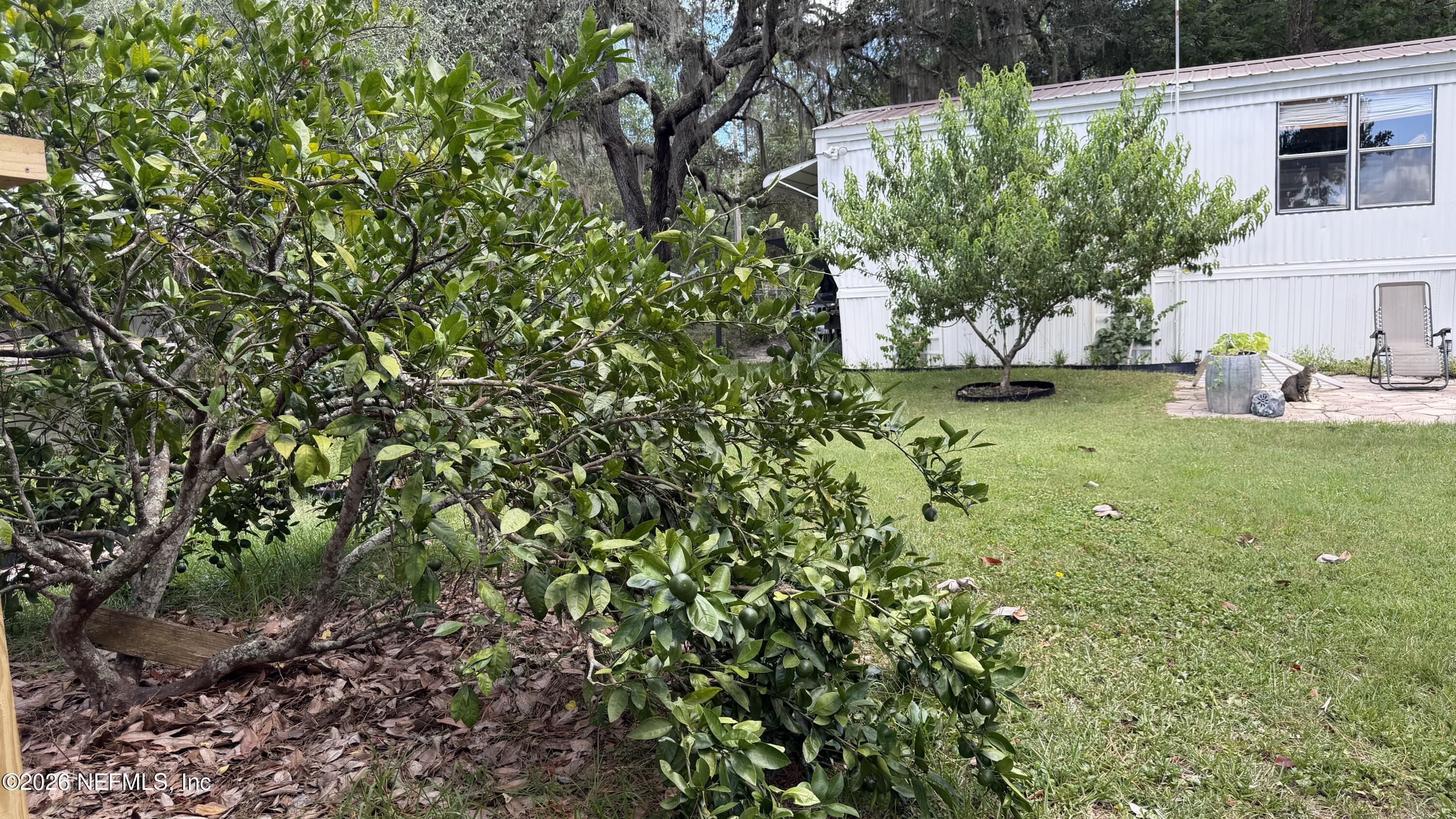 112 Violet Circle Interlachen, FL 32148 - Photo 13 of 37 112 Violet Cir, Interlachen, FL