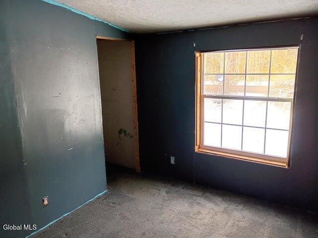 1624 County Rte 10 Lewis, NY 12993 - Photo 7 of 22 Bedroom 3