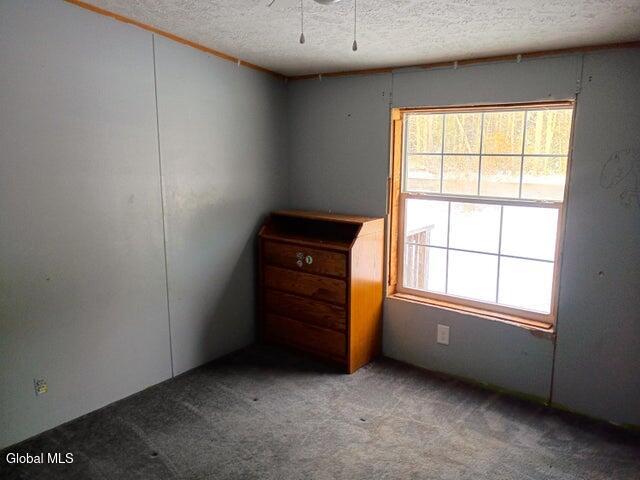 1624 County Rte 10 Lewis, NY 12993 - Photo 8 of 22 Bedroom 4