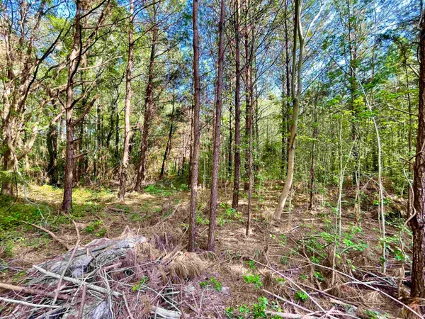 $65,000 | Tbd Beth Drive, Conway, SC 29527