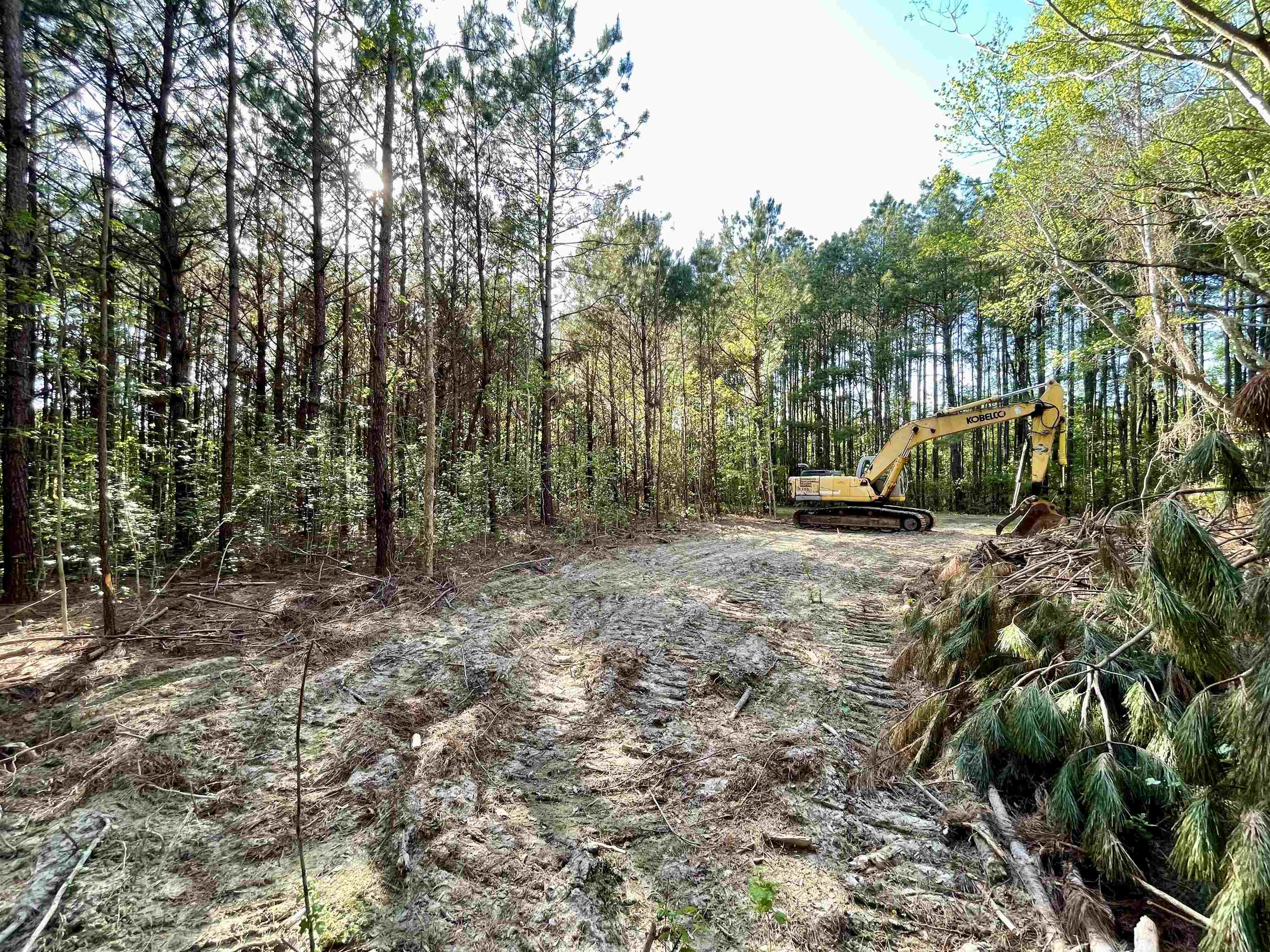 Tbd Beth Drive Conway, SC 29527 - Photo 6 of 14