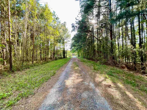 $65,000 | Tbd Beth Drive, Conway, SC 29527