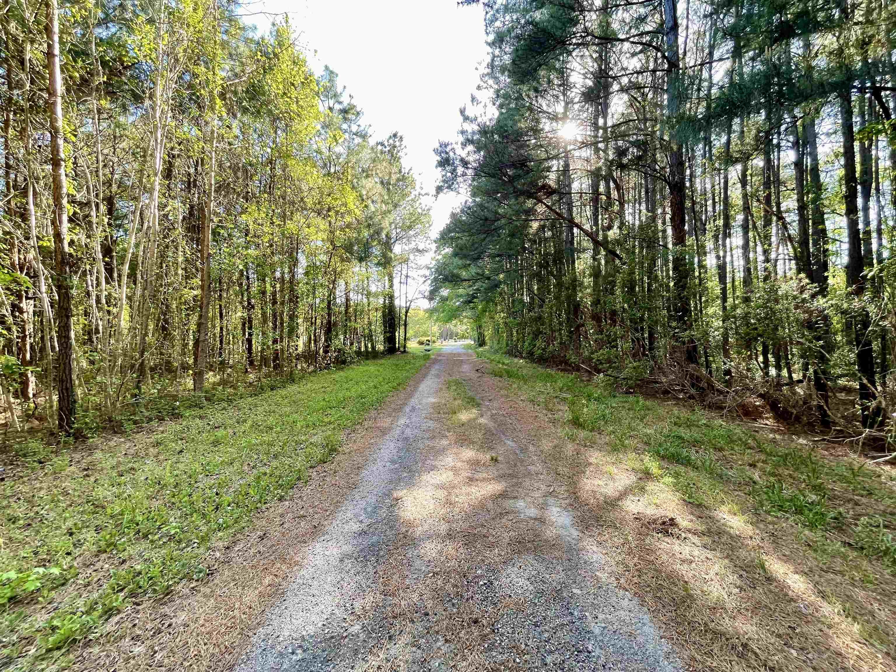 Tbd Beth Drive Conway, SC 29527 - Photo 8 of 14
