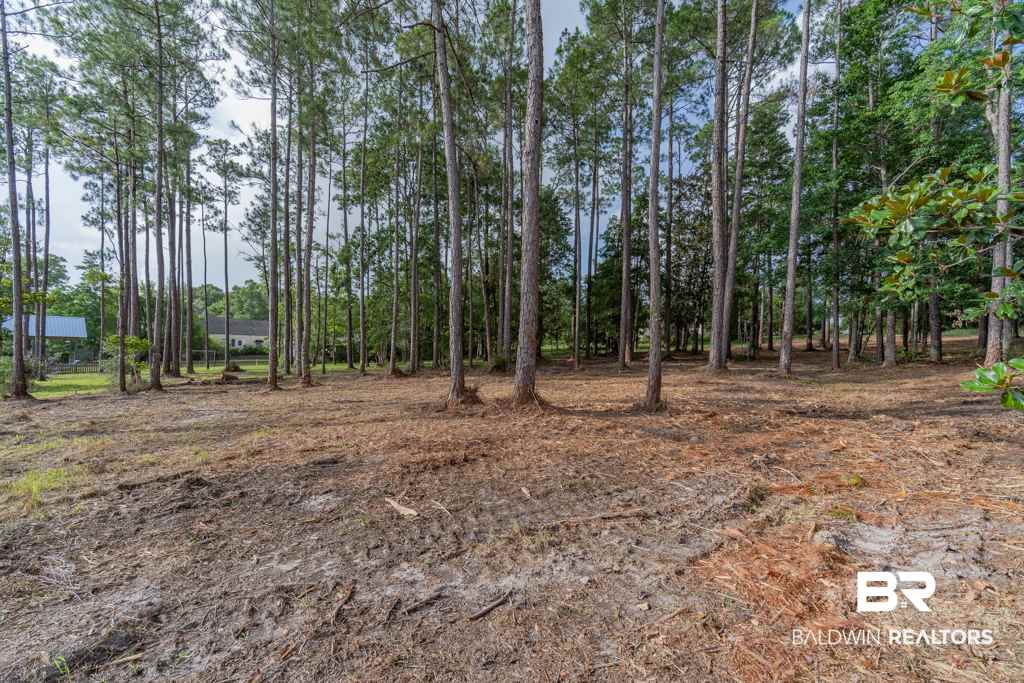 4 South Bayou Drive Elberta, AL 36530 - Photo 16 of 23