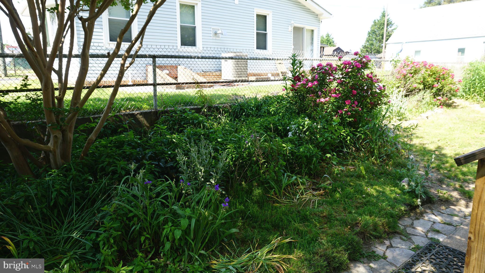 8237 Highpoint Road Clearwater Beach, MD 21226 - Photo 19 of 50 Beautiful Mature Gardens