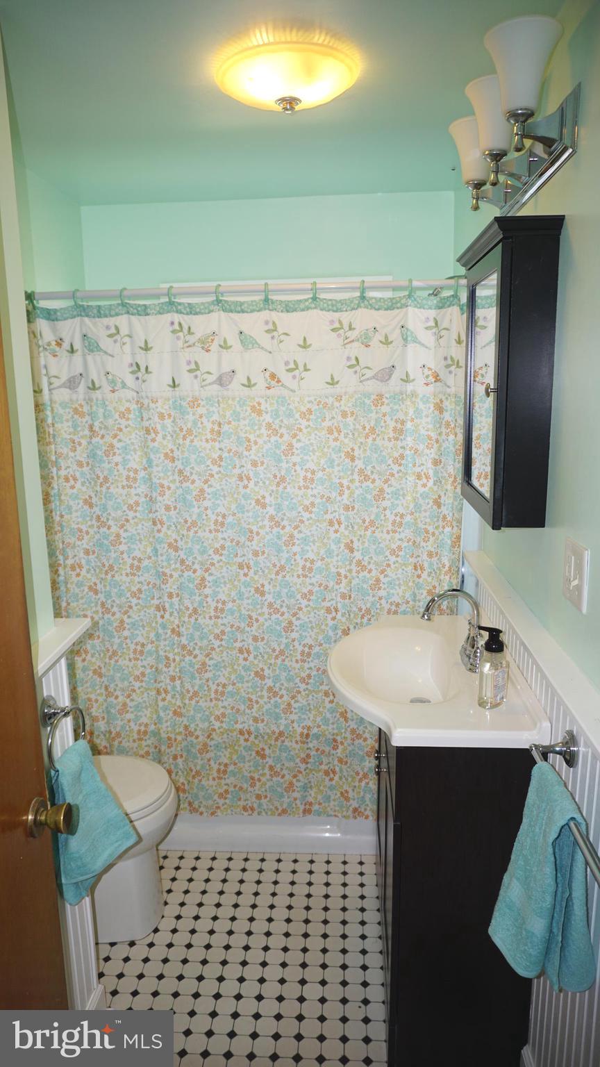 8237 Highpoint Road Clearwater Beach, MD 21226 - Photo 35 of 50 Bath also features Java medicine & storage cabinet