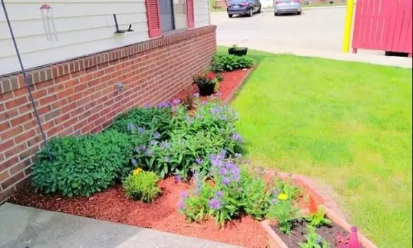 a view of a yard with flowers