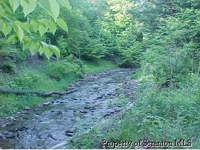 57077 Silver Creek Road Hallstead, PA 18822 - Photo 3 of 5 Gallery Image 3