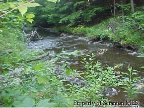 57077 Silver Creek Road Hallstead, PA 18822 - Photo 4 of 5 Gallery Image 4