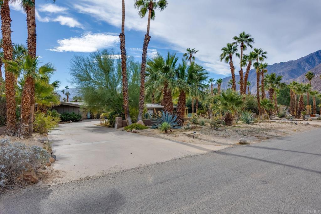 255 Montezuma Road Borrego Springs, CA 92004 - Photo 24 of 26 a couple of palm trees in front of house