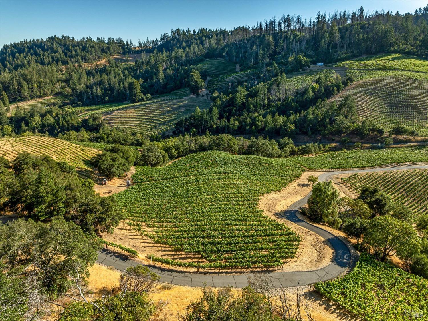 2340 Mt Veeder Road Napa, CA 94558 - Photo 34 of 38