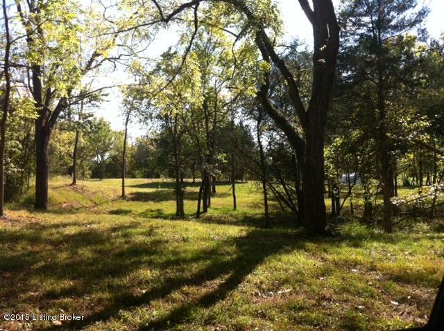 15902 Piercy Mill Road Louisville, KY 40245 - Photo 18 of 20 photo18