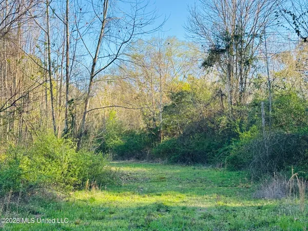 $300,000 | 8525 State Boulevard, Meridian, MS 39305