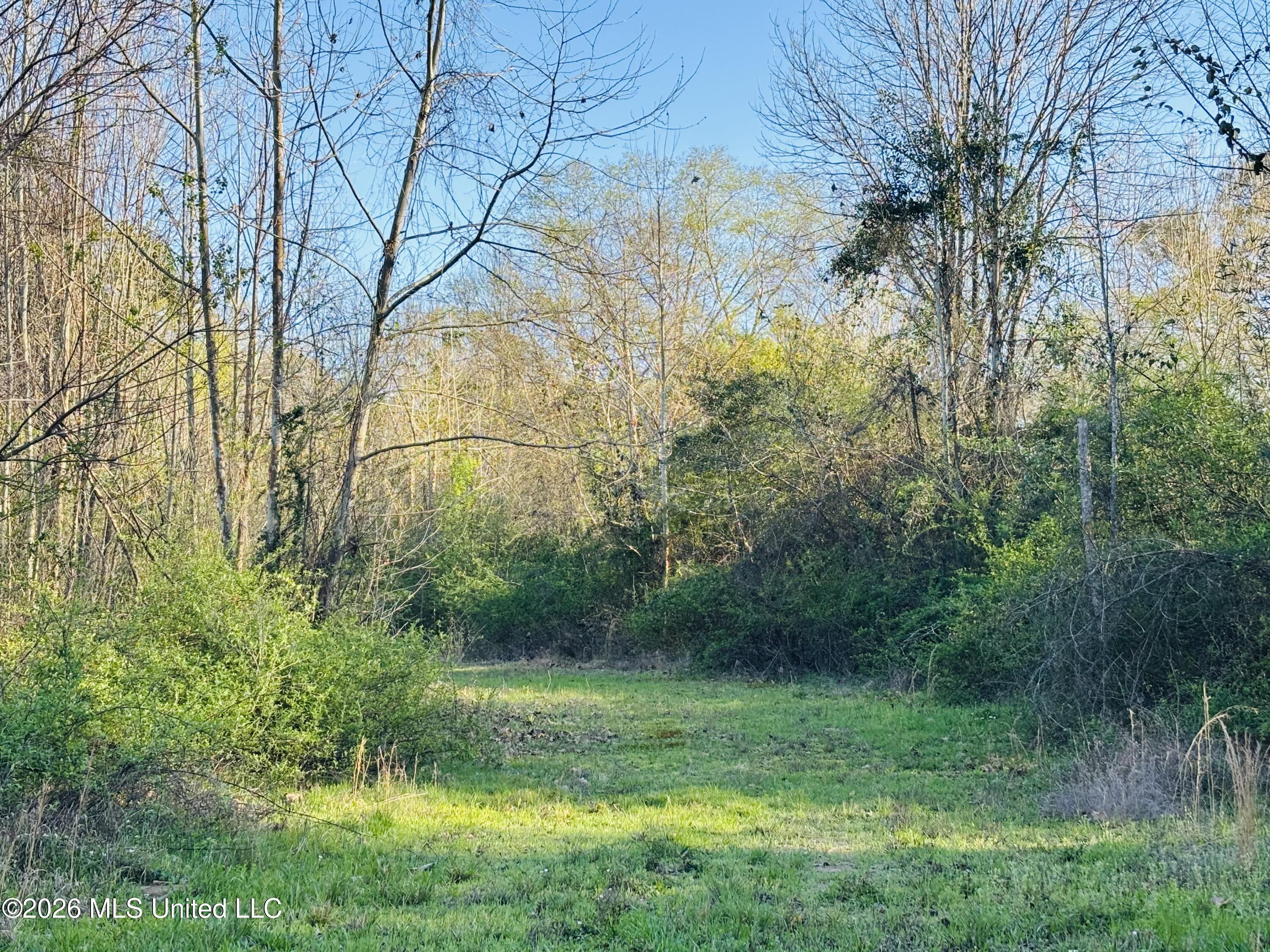8525 State Boulevard Meridian, MS 39305 - Photo 1 of 14 road