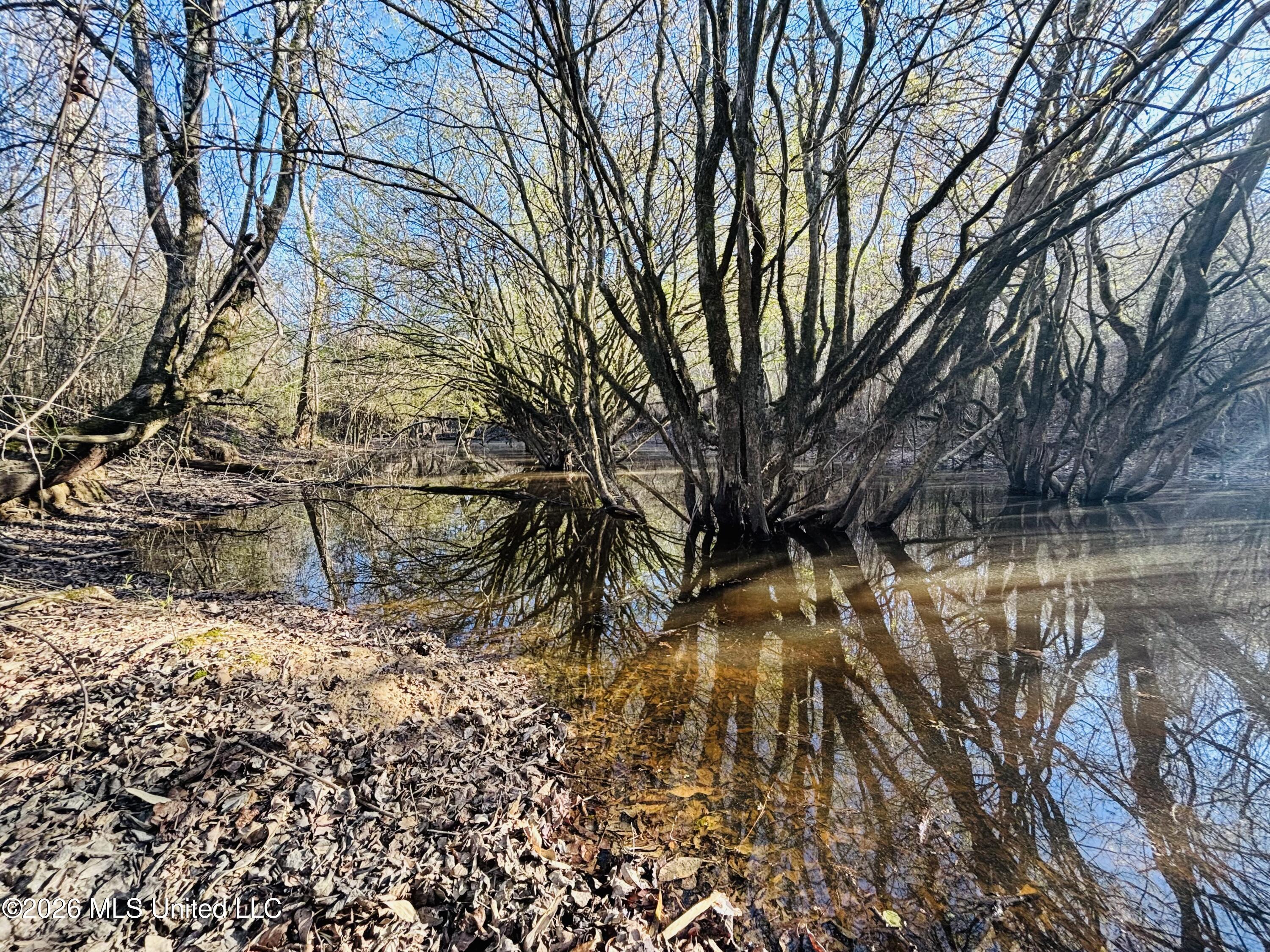 8525 State Boulevard Meridian, MS 39305 - Photo 11 of 14 lauderdale 97 creek