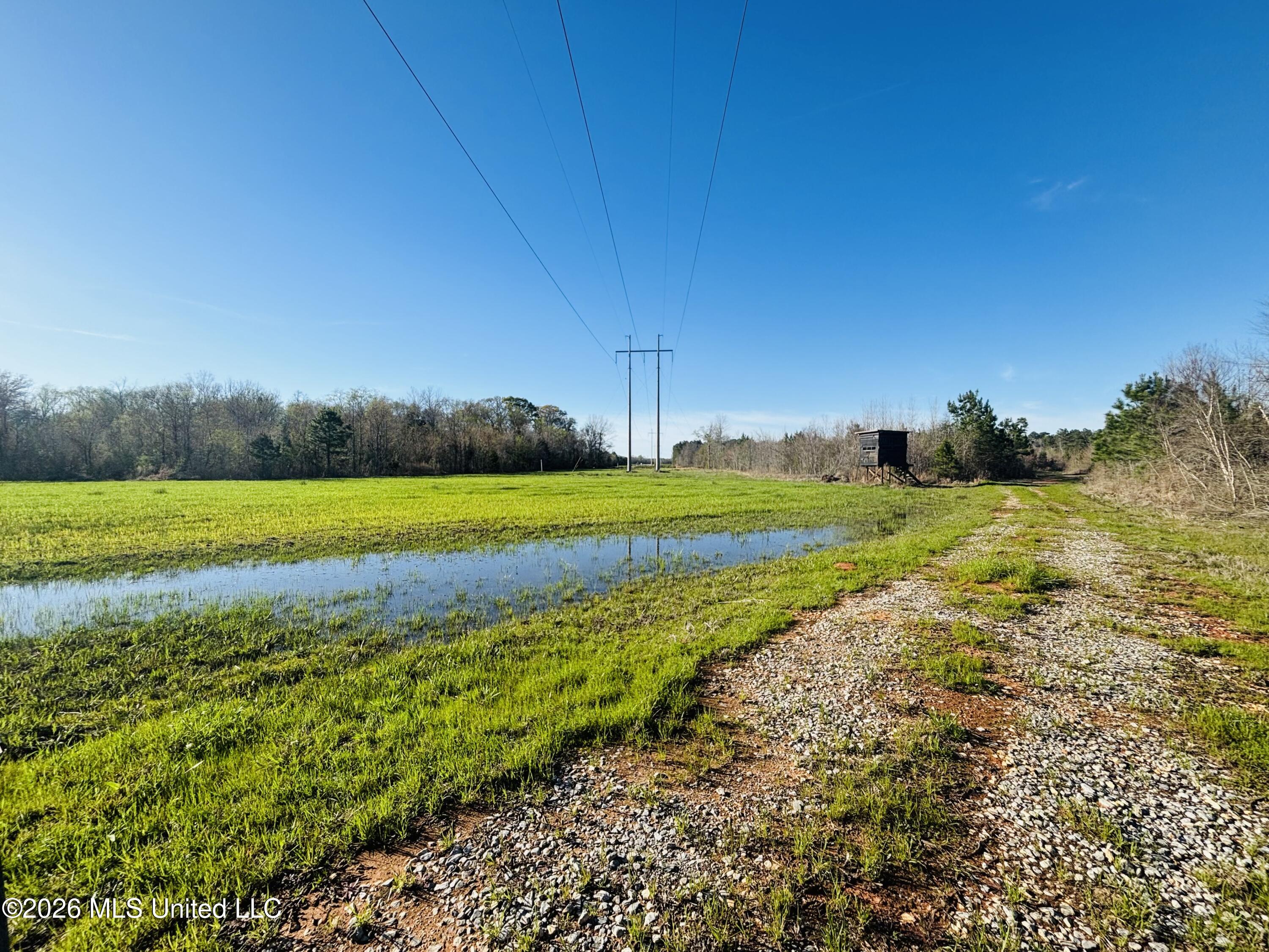 8525 State Boulevard Meridian, MS 39305 - Photo 4 of 14 lauderdale 97 1