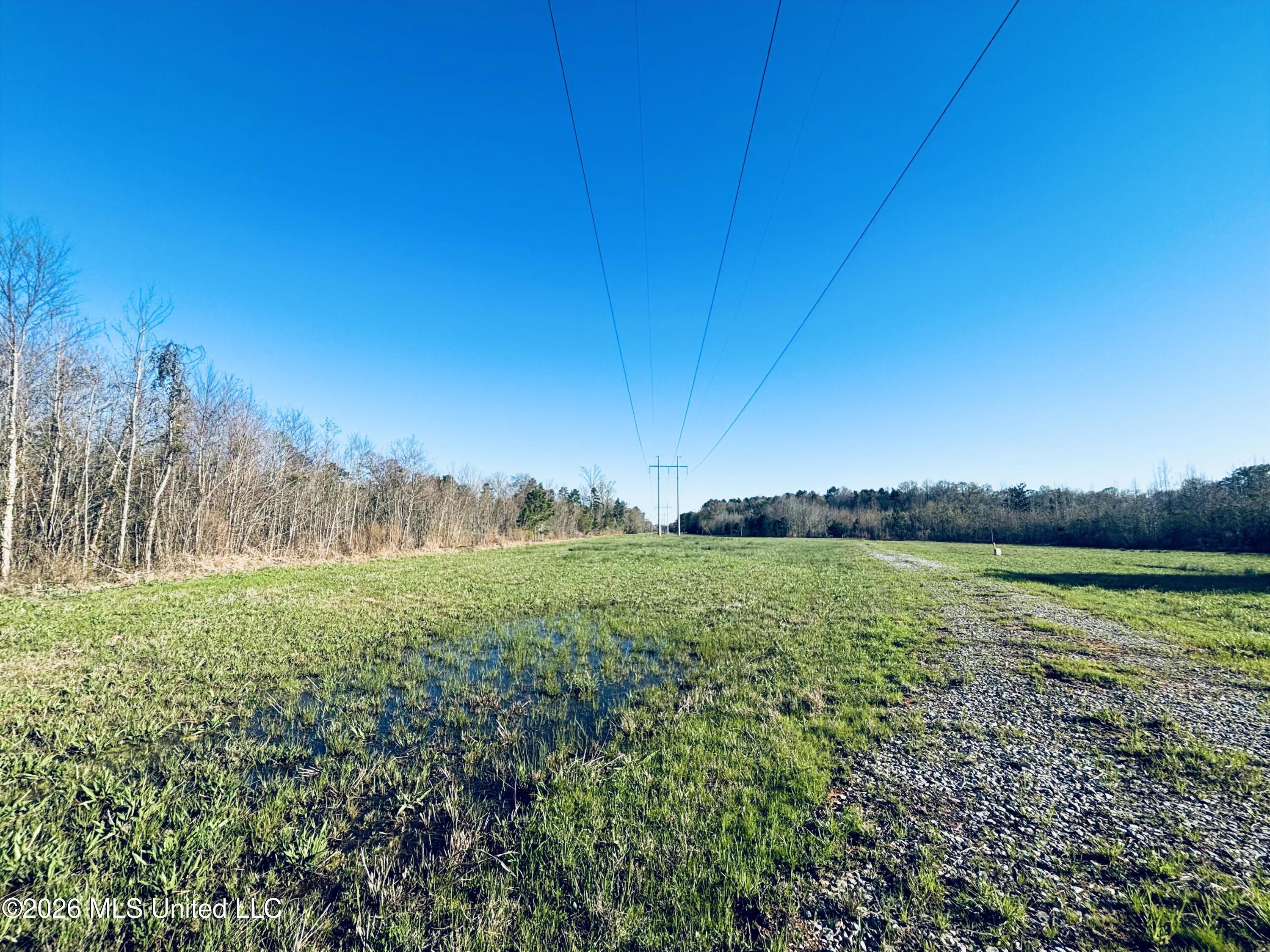 8525 State Boulevard Meridian, MS 39305 - Photo 5 of 14 Lauderdale 97 2