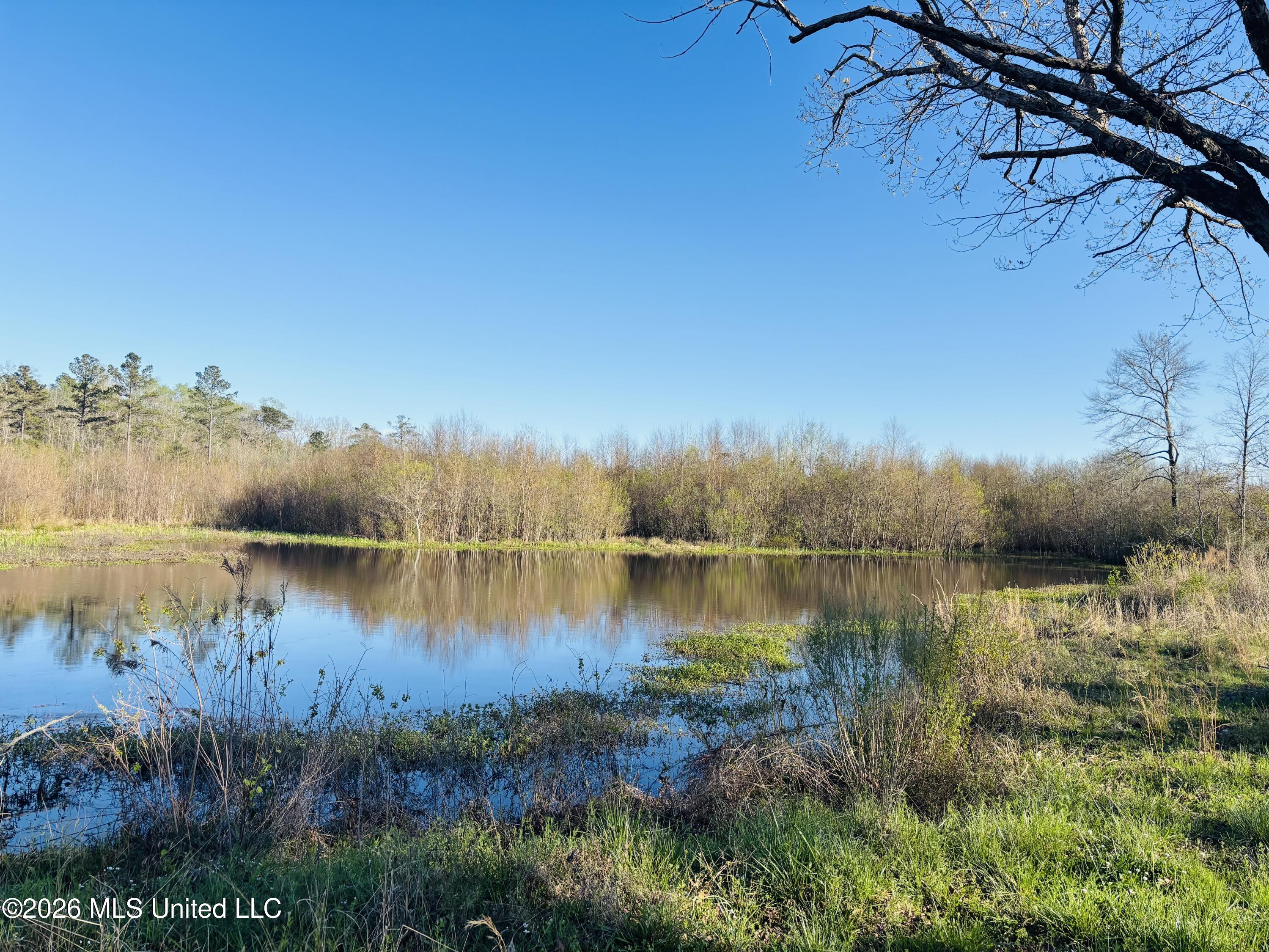 8525 State Boulevard Meridian, MS 39305 - Photo 6 of 14 lauderale 97 5