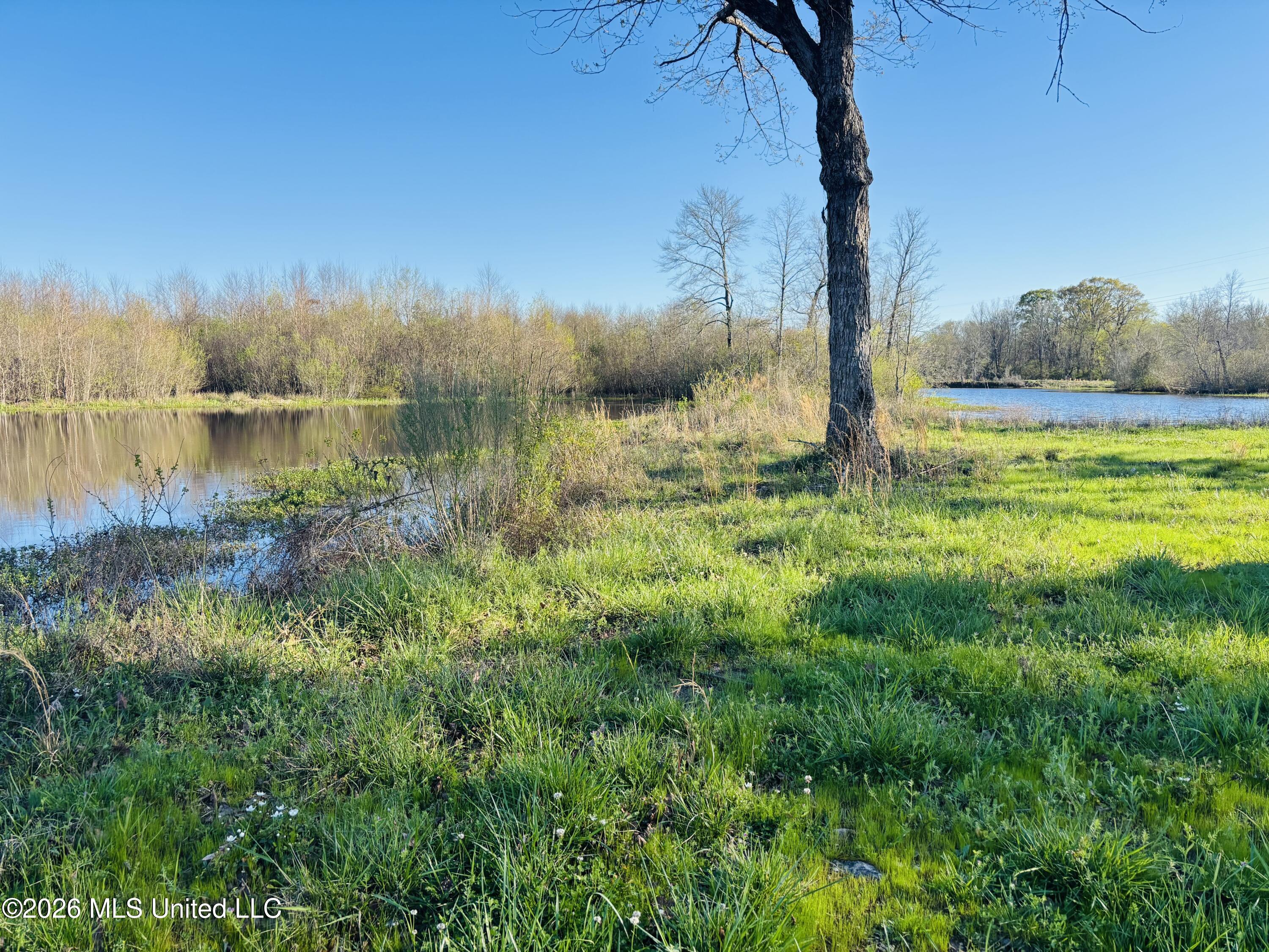 8525 State Boulevard Meridian, MS 39305 - Photo 7 of 14 lauderdale 97 6