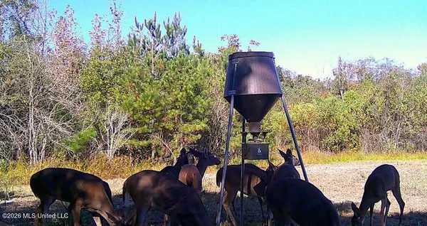 $300,000 | 8525 State Boulevard, Meridian, MS 39305