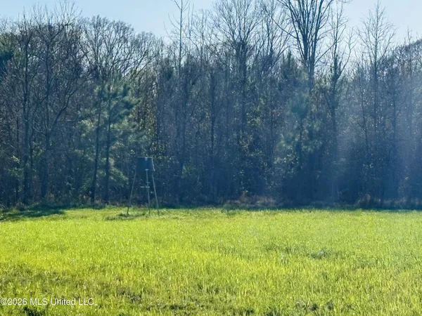 $300,000 | 8525 State Boulevard, Meridian, MS 39305