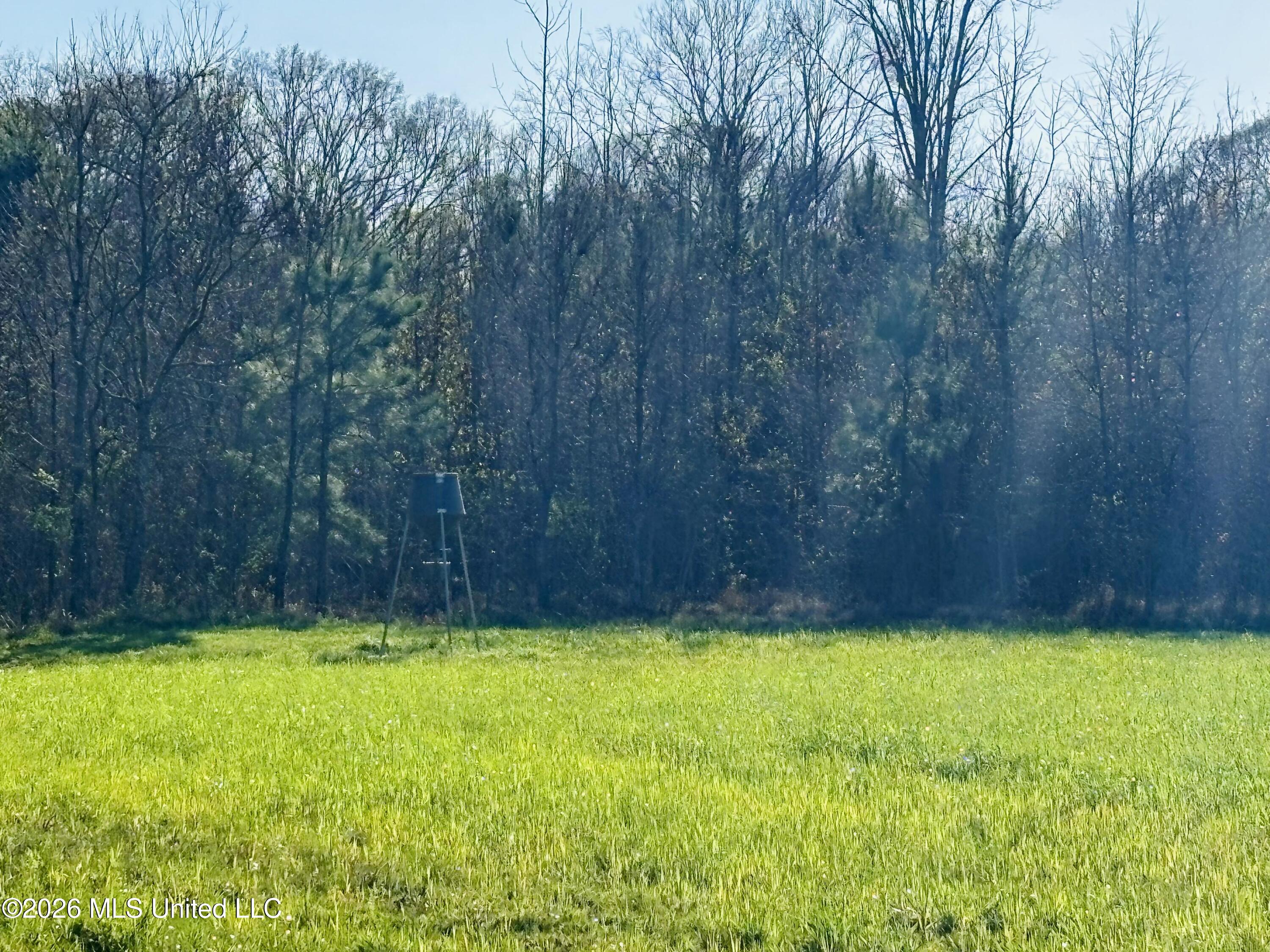 8525 State Boulevard Meridian, MS 39305 - Photo 9 of 14 Lauderdale 97 3