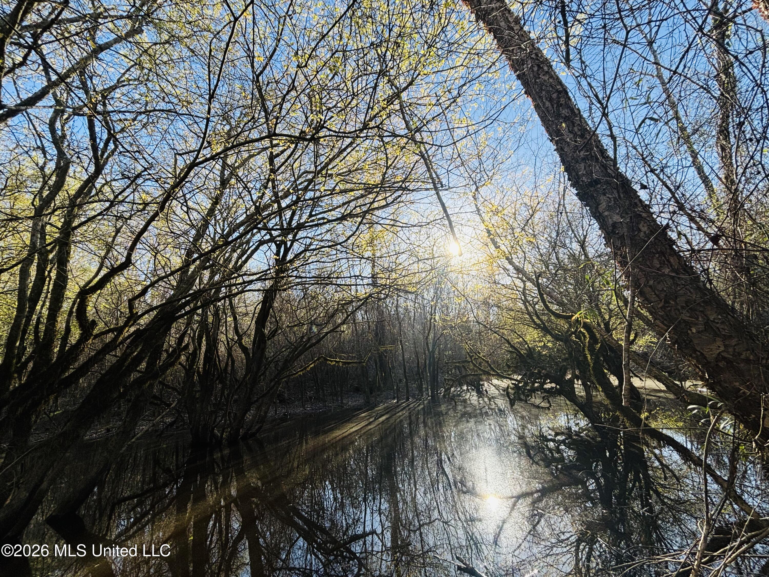8525 State Boulevard Meridian, MS 39305 - Photo 10 of 14 lauderdale 97 creek 2
