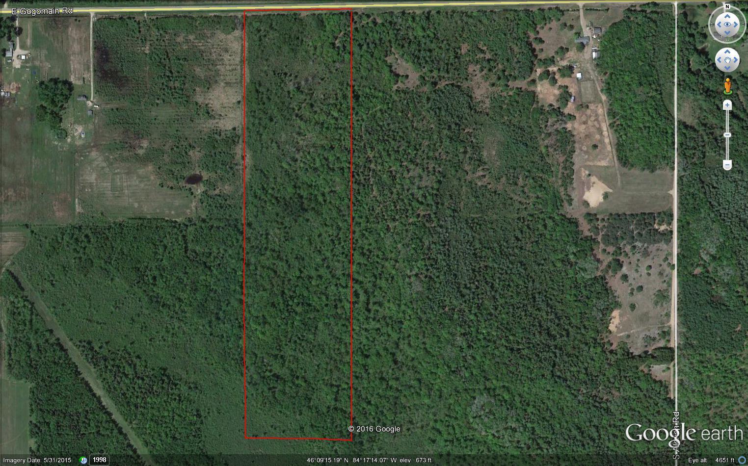 40 East Gogomain Road Pickford, MI 49774 - Photo 2 of 4 Gallery Image 2