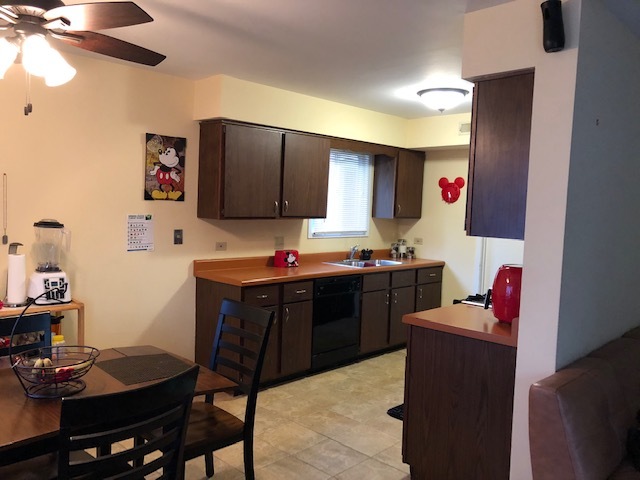 55 Churn Road Matteson, IL 60443 - Photo 7 of 9