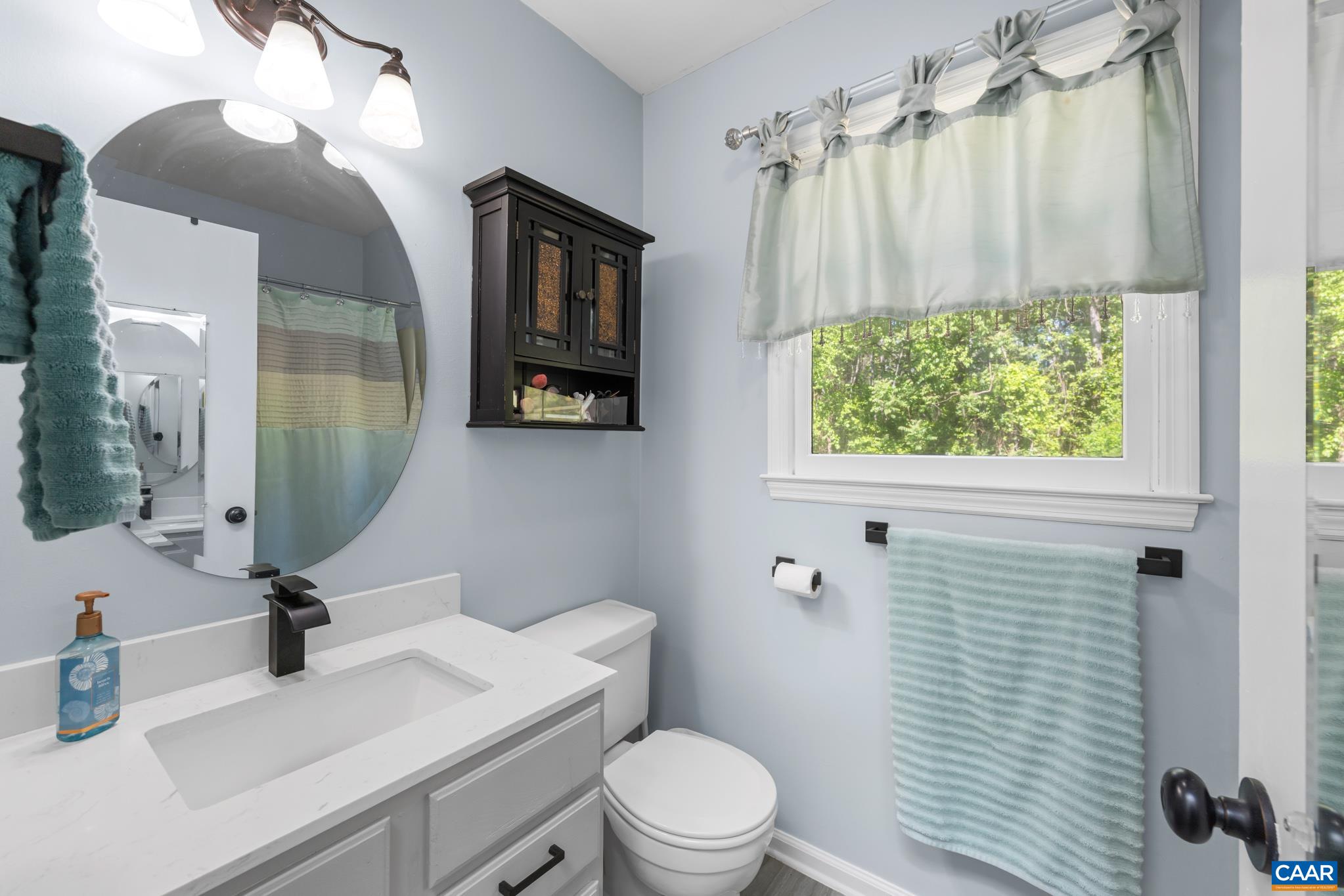 1971 Wilderness Road Reva, VA 22735 - Photo 22 of 47 a bathroom with a sink vanity mirror and toilet
