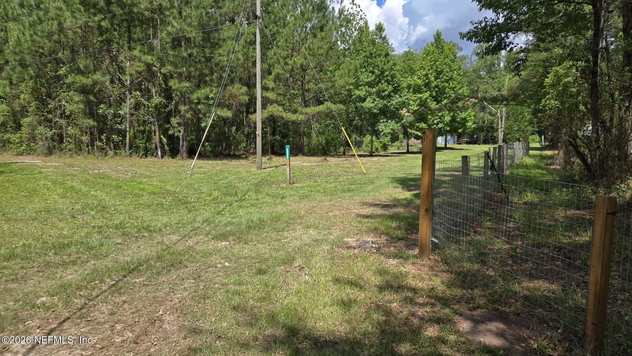 3923 Skipper Road Middleburg, FL 32068 - Photo 4 of 25 a view of a yard with a tree
