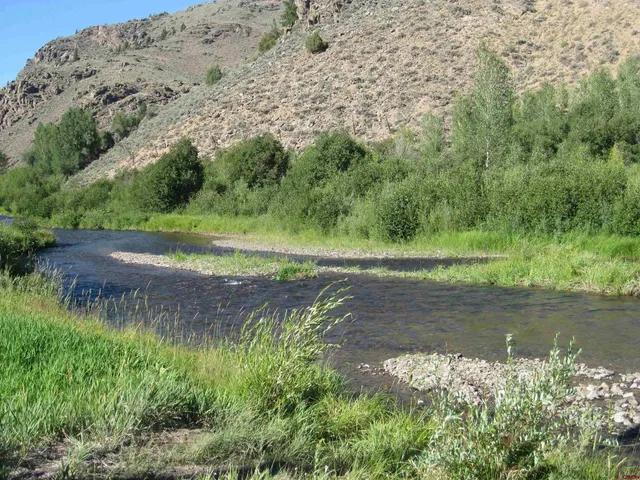 a view of a lake with a yard