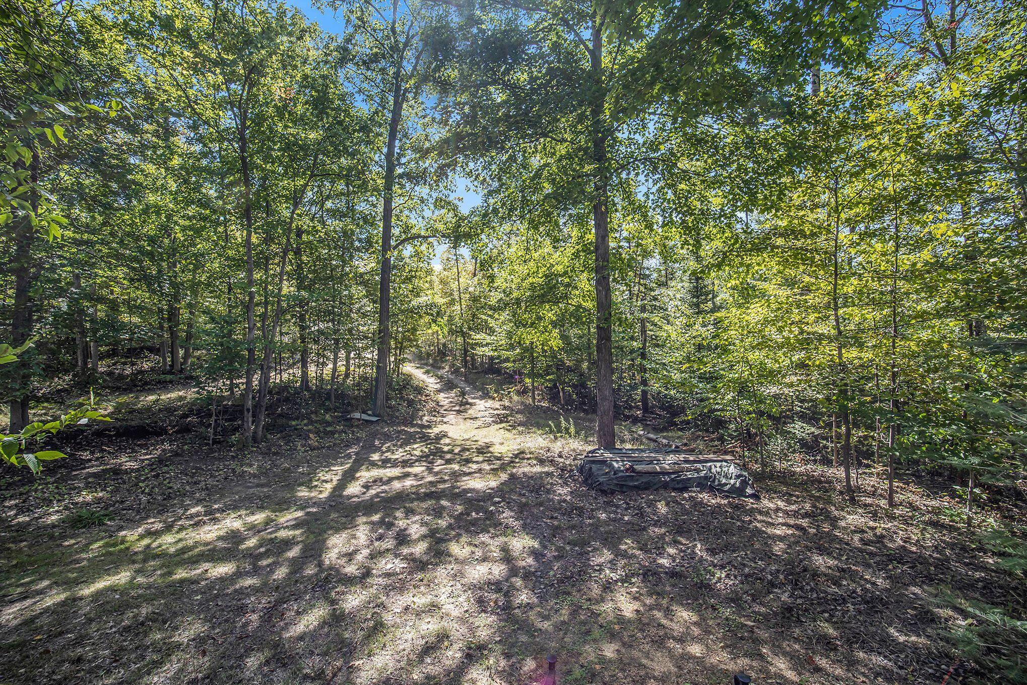 3648 Lance Lake Road Wolverine, MI 49799 - Photo 24 of 27 Gallery Image 24