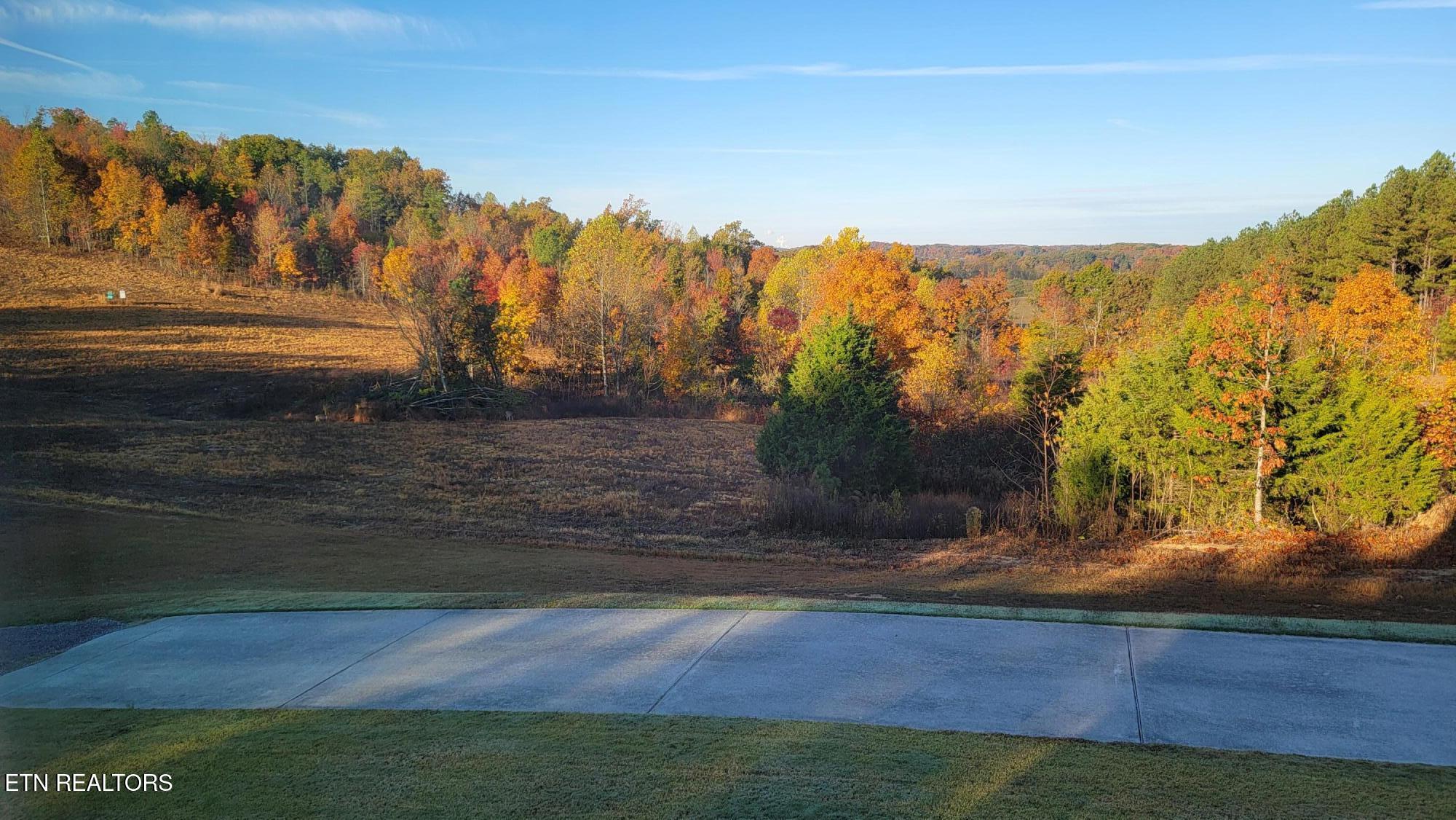 1410 Ward Road Loudon, TN 37774 - Photo 3 of 60 IMG_3699