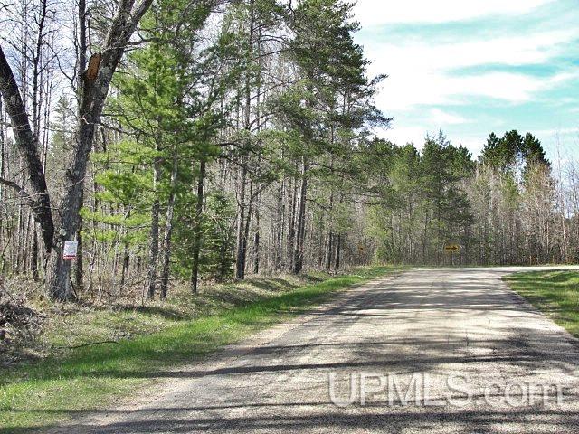 T-wi Wi 54156 Road Pembine, WI 54156 - Photo 2 of 3